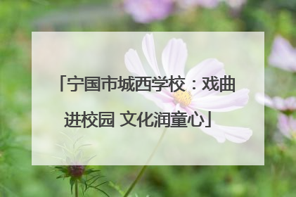 宁国市城西学校：戏曲进校园 文化润童心